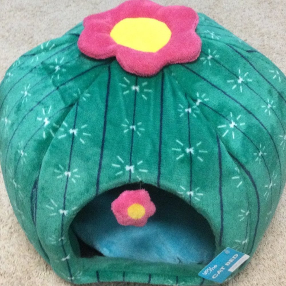 NEW CACTUS CAT BED